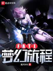 Fate梦幻旅程免费无弹窗阅读
